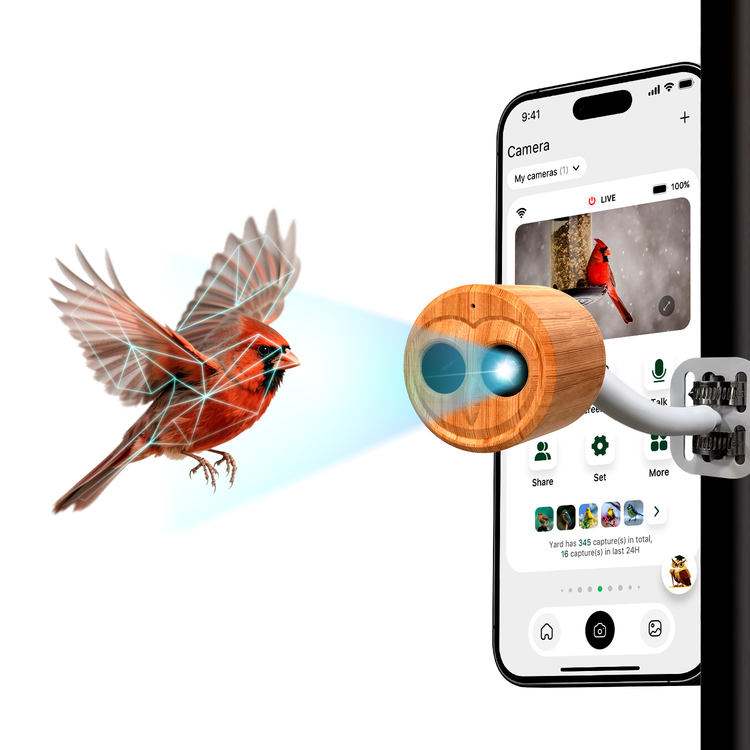 جهاز تغذية الطيور الذكي بدقة 4 - مراجعة Power Outdoor وسعره